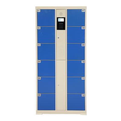 China Smart Logistics Locker 12 Door Delivery Supermarket Parcel Electronic Pin Code Locker for sale