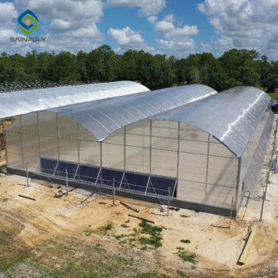 China PEP Plastic Sheet Tunnel Tomato Hydroponics Invernadero Green House Agricultural Greenhouse In Stock Turnkey Projects For Sale for sale