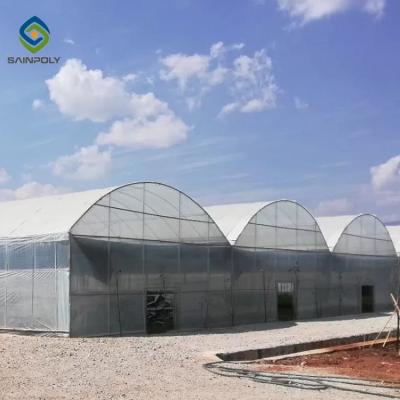 China Full System Greenhouse Large Support Greenhouse Uniform Lightweight Hot Dip Galvanized Steel Plastic Four Seasons Planting Multispan Greenhouse for sale