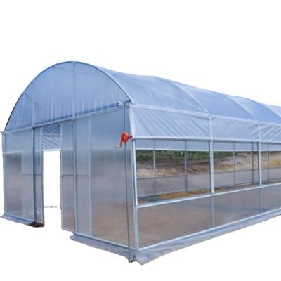 China Plant Growth and Breeding Poultry 8*30 Standard Commercial Low Cost Plastic Sheet Agriculture Circle House Greenhouse for sale