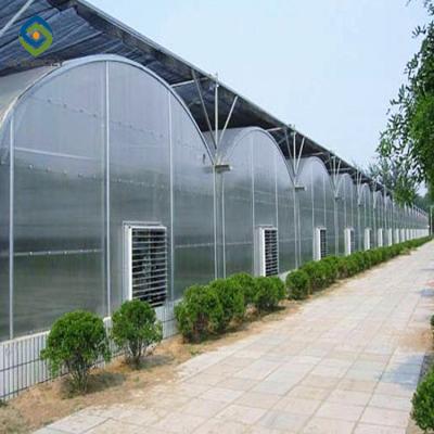 China Stable Structure Easily Assembled Hot Sale 10mm Multi-span Arches Polycarbonate Sheet Greenhouse For Agricultural PC Sheet Greenhouses for sale