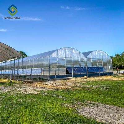 China Stable structure easily assembled turnkey projects ordered multi span greenhouse vegetable polycabonate seed greenhouse for sale