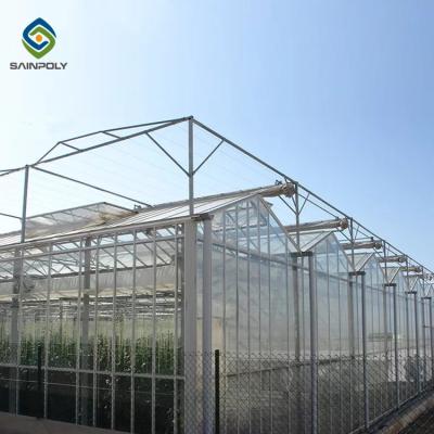 China Vegetable Fruit Flowers Polycarbonate Greenhouse for sale