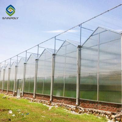 China Hydroponic PC Sheet Multi-Span PC Sheet Greenhouse for sale