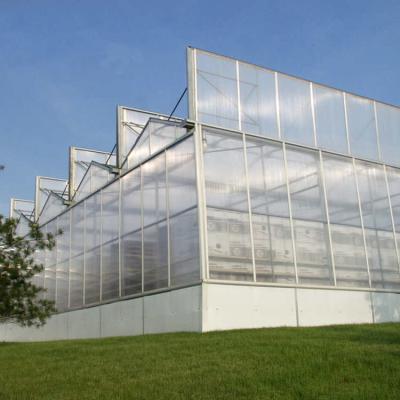 China Stable Structure Easily Assembled Passive Multi Span Polycarbonate Sheet Greenhouse One-Stop Dome Service House Gewachshaus Projects for sale