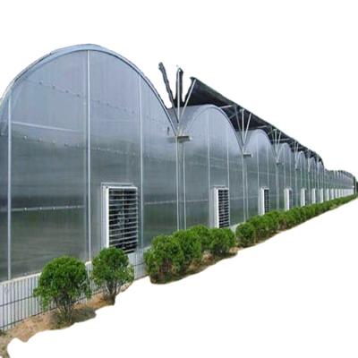 China Stable structure easily assembled multi span polycarbonate sheet greenhouse greenhouse manufacturer intelligent greenhous factory to grow used greenhouses for sale for sale