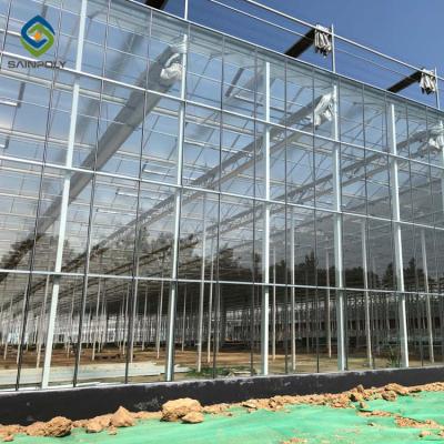 China Fruit Vegetable Flowers Hot-selling Hydroponic Smart Glass Greenhouse for sale