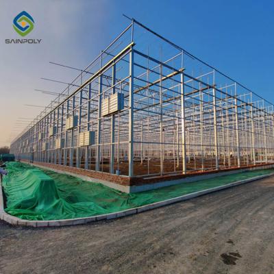 China Vegetable flowers fruits SAINPOLY hot sale automated glass greenhouse for agriculture made in china for sale