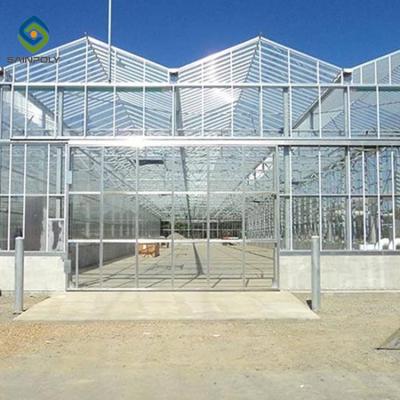 China Multi-span Vegetable Commercial Glass Hydroponics Glass Greenhouses Turnkey Project With One Stop Service For Tomato for sale