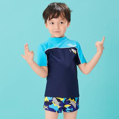 China Rashty Babysitter Toddler Kids Swimsuit Boys Clothes Top Swimwear Breathable Beach Wear Shorts for sale