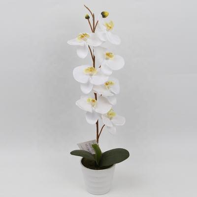 China Fashional Artificial Flower New Design Home Decoration 7 Heads Artificial Flower Orchid In White Pot for sale