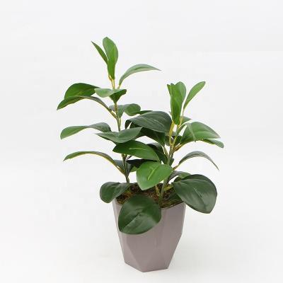 China New Design Fashional Artificial Flower Home Decoration Green Grass Leaves With Pot for sale