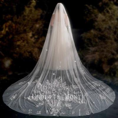 China Soft Champagne Tulle Cathedral Vintage Wedding Accessories Bridal Veils With Metal Edge Cut Elegant Light Shiny Lace Comb 2022 for sale