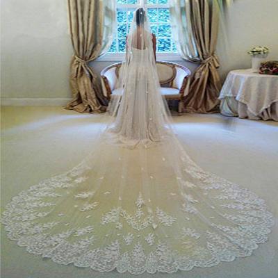 China Lace Edge 2022 New Luxury Wedding Veil Long 4 Meter Bridal Veils White / Ivory Elegant Lace Edge With Comb Wedding Accessories Veil for sale