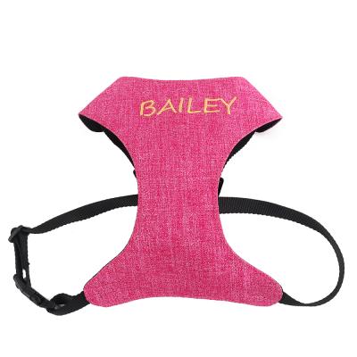 China Padded Custom Fashion Dog Harness with Embroidered Personalized Dog Name for sale