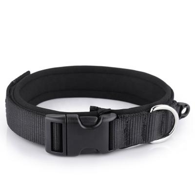 China Manufacturer Wholesale Multi-colors Padded Nylon Dog Collar With Patches for sale