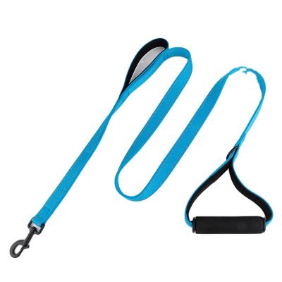 China Custom Reflective Nylon Dog Leashes Padded Durable Pet Training Leads With Comfortable Padded Handle for sale