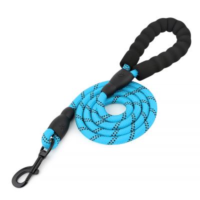 China Large Padded Mountaineering Running Tracking Reflective Soft Handle Nylon Rope Dog Leash for sale