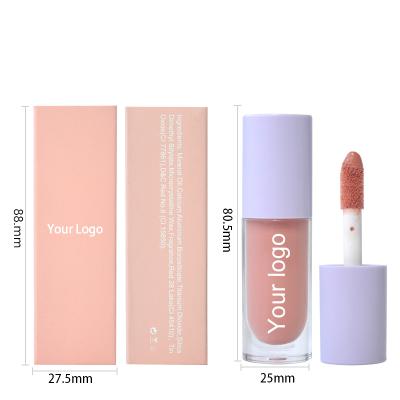 China Luxury Hot Selling LipMakeup DIY Lady Lip Gloss Tube Brand Mini Luxury Custom Lip Gloss Long Lasting Waterproof 52 Colors Lip Gloss for sale