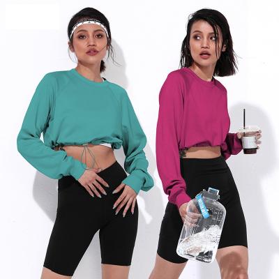 China Air Layer Women Sweater Casual Crop Top Long Sleeves Sports Hoodies Gym Workout Breathable Super Hot Selling Long Clothes for sale