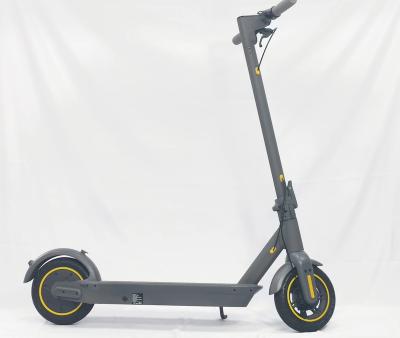 China Popular 10 Inch 350W Scooters 350W Long Range Turn Light + Max G30 Design Rear Turn Light Design Factory Supply Foldable Electric Mobility Scooter CE for sale