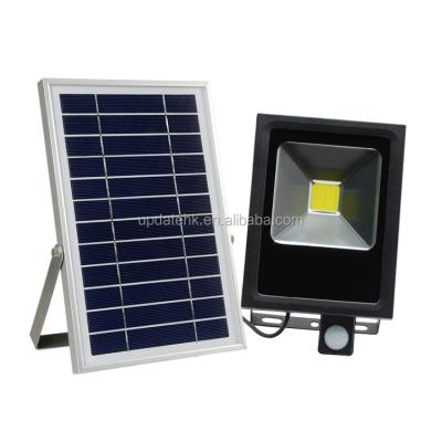 China 20W Theme Park Floor Lighting Solar COB LED Motion Sensor Outdoor Garden Street Lights for sale