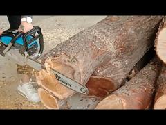 Practical operation of chain saw