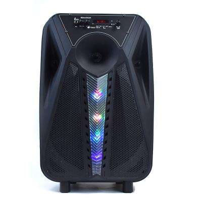 China Aoxin Colorful Indoor Outdoor Karaoke Light LED Microphone Equalizer Wireless USB SD Recording BT Trolley Party Speaker for sale