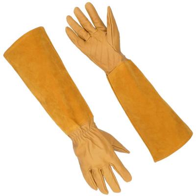 China Leather Protection Thorn Resistant Garden Gloves Rose Pruning Long Forearm Gardening Stretch Palm Cuff Lightweight Breathable Coated Elastic Goat Skin for sale