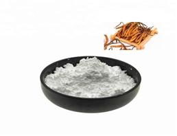 China food and health natural plant extract Cordycepin comes from Nature plant pure natural plant extract for sale