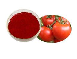 China OEM New plant extract Lycopene nature plant extract art natural plant extract from China for sale