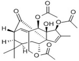 China Pharmaceutical Grade natural plant extracts Ingenol from China for sale