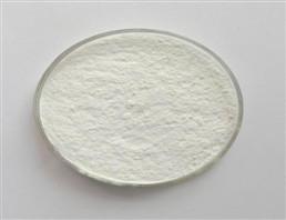 China plant extract powder Betulin pure natural plant extracts pure herbal extracts for sale