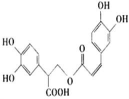 China pure herbal extracts plant extract powder Rosmarinic acid  pure natural plant extracts for sale