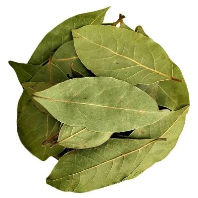 China Dry 2020 New 100% Pure Cooking Spices Dried Berry Leaves Laurel Leaves for sale