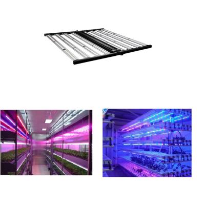 China Factory Wholesale Fruit Par Hydroponic Dimming Button High Led Grow Light for sale