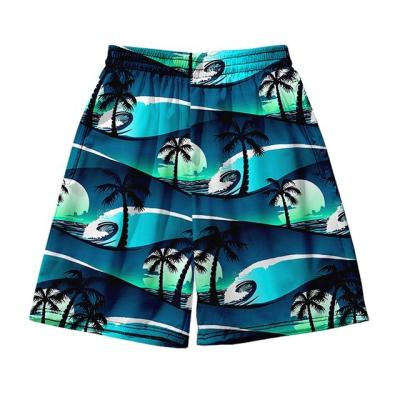 China Anti-wrinkle beach pants 3D digital printing men's and women's sports shorts Hawaiian factory custom wholesale casual fashion for sale