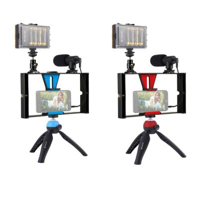 China PULUZ Vlogging Live Broadcast LED Selfie Light Camera Cage 4 in 1 Desktop Video Rig Vlogging Live Broadcast LED Selfie Light Smartphone Kits with Microphone Tripod for sale