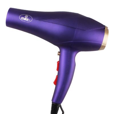 China Other Yiwu Wholesale New Purple Supplier Customized High Power High Efficiency Hair Dryer for sale