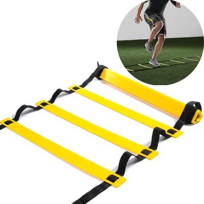 China Factory Direct Durable Adjustable Agility Training Ladder Speed ​​Training With Black Carry Bag for sale