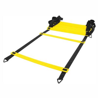 China Durable HOT Selling Fitness Training Equipment Custom Exercises Sports Speed ​​Training Agility Ladder for sale