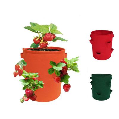 China Eco-Friendly Recycle Customized Multi-port Strawberry Planting Bags For Sale Indoor And Outdoor Movable Felt Bags for sale