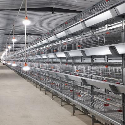 China Fully Automatic Broiler Raising Chicken Cages 4 Rows H Type Broiler Fully Automatic Chicken Broiler Cage Raising Cage for sale