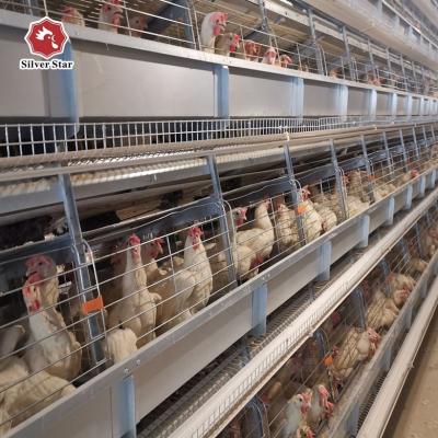 China Hot Dip Galvanized Type Automatic Poultry Layer Cage Poultry Farm Poultry Farm Equipment Poultry Farm Use H Equipment for sale