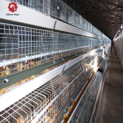 China Full Automatic Automatic Nipple Drinker Chicken Broiler Cage Broiler Battery Cage For Growing Baby Chicks for sale