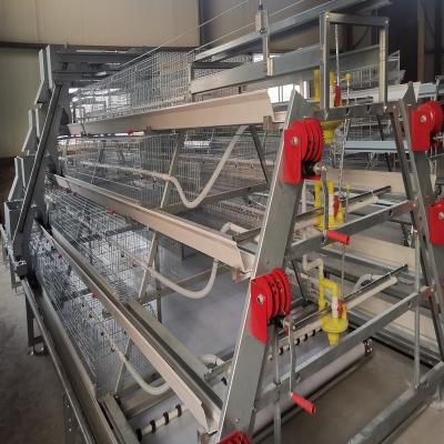 China Automatic Broiler Chicken Cage Poultry Automatic Broiler Cage For Meat Chicken Farm Use for sale