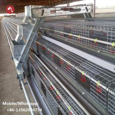 China Automatic Fully Automatic Chicken Cage For Brooder Pullet Chicken Farm for sale