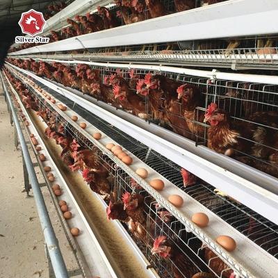 China Laying hens cultivate chicken equipment simple structure poultry farming one layer type chicken cage equipment automatic cage for sale