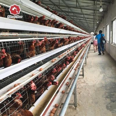 China Layers Farm Layer Chicken Equipment Q235 Metal Steel Wire A Type Chicken Layer Cage Poultry Show Cages Chiken Cage for sale