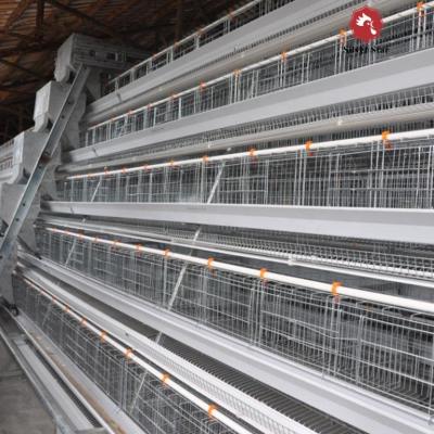 China Automatic Chicken Layer Cage A Type Galvanized Automatic Chicken Laying Poultry Farm Cage for sale